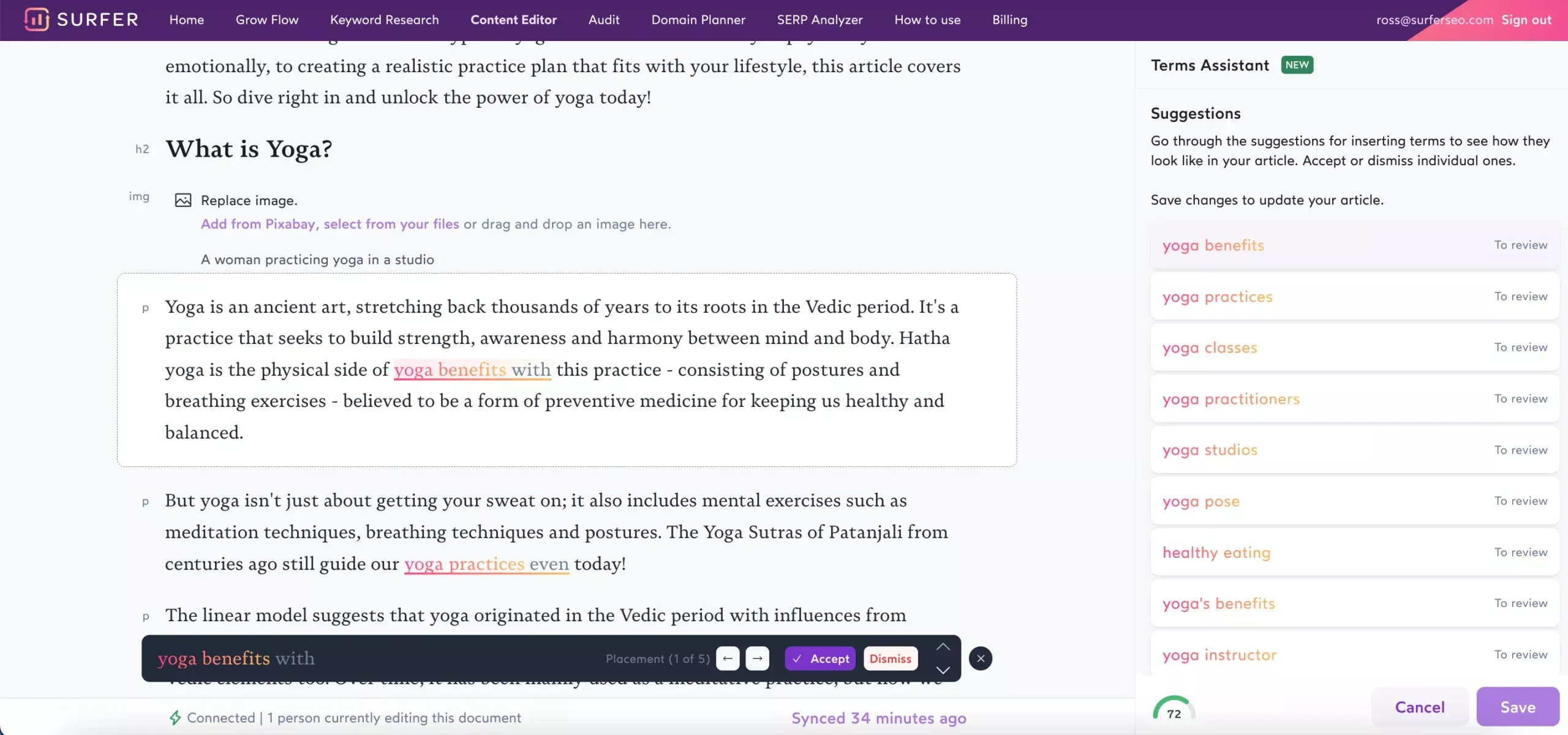 SurferSEO term assistent